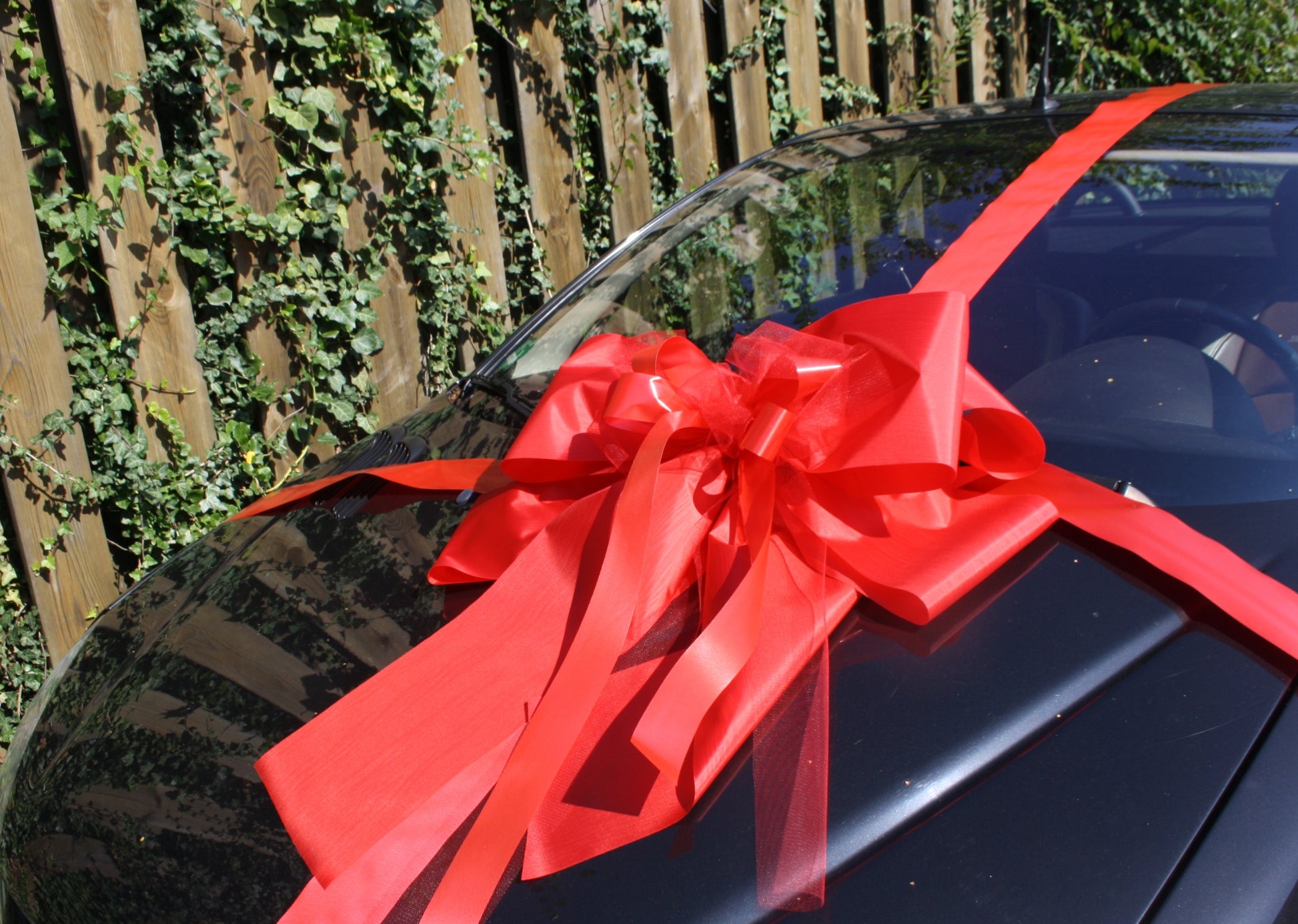 9007 Geschenkschleife Auto extra XXL mit Unterband