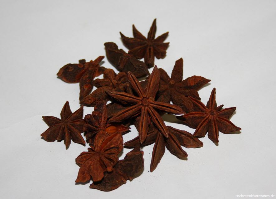 8024 Anissterne Natur !