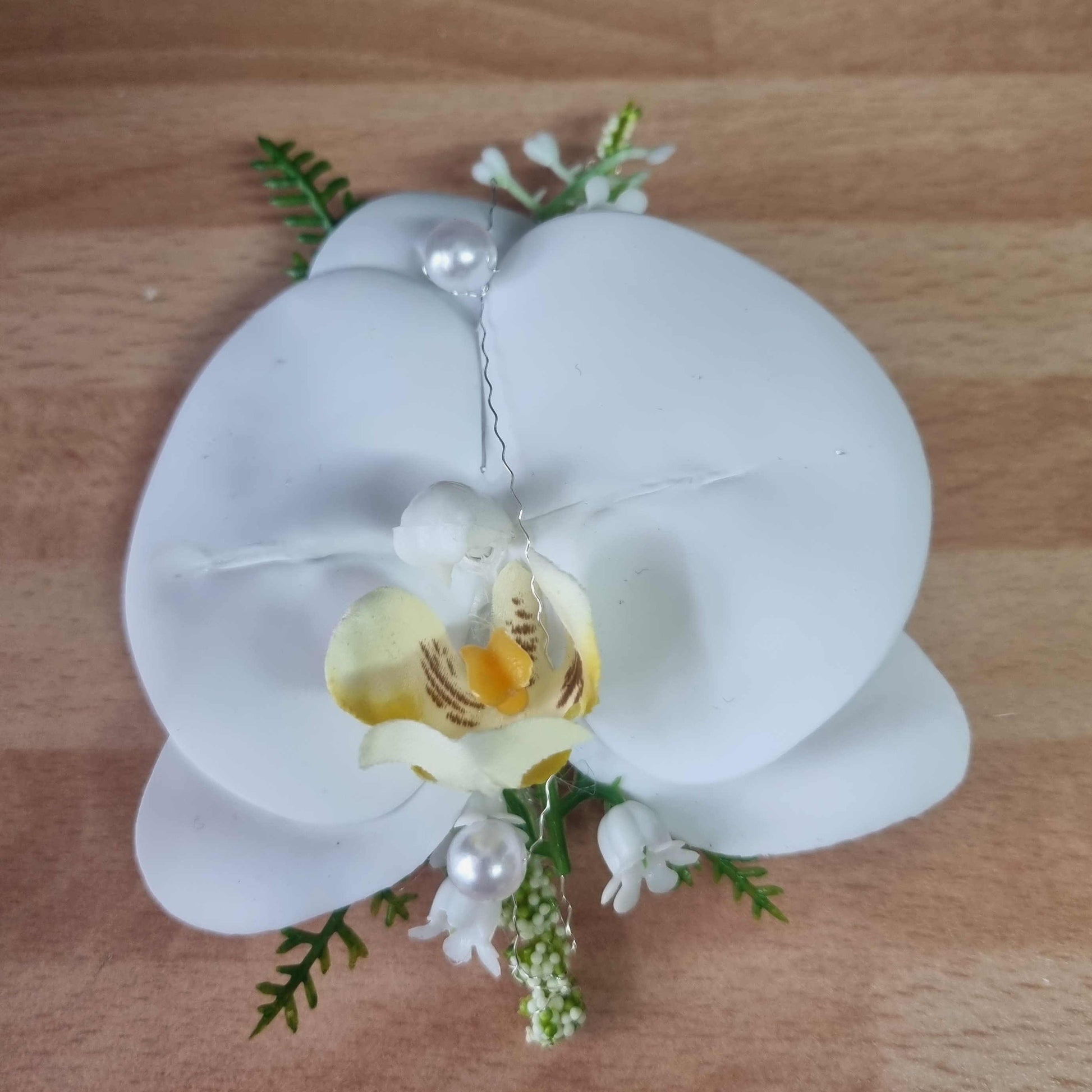 Anstecker Orchidee