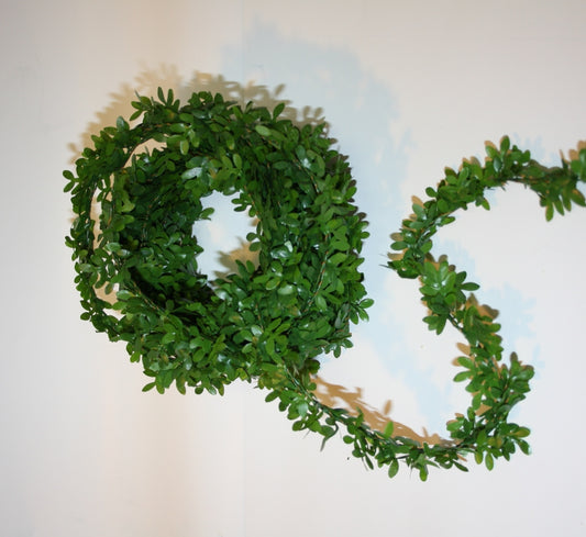 Buchsranke mini 1,8 m