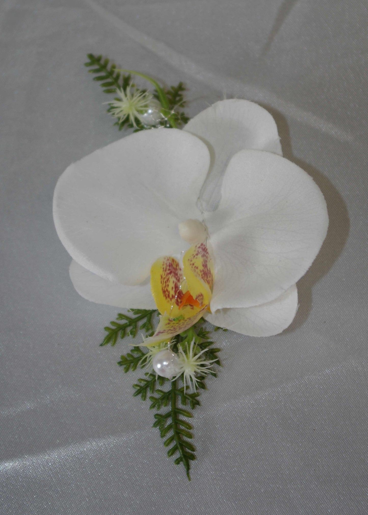 Anstecker Orchidee