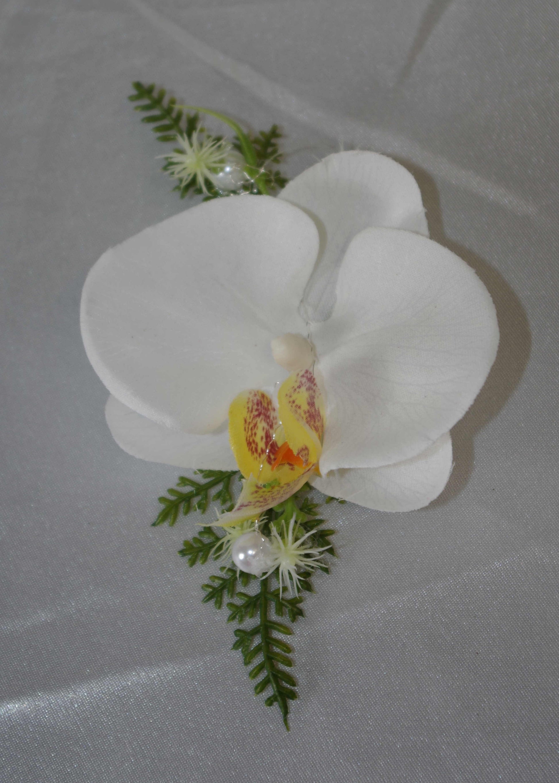 Anstecker Orchidee