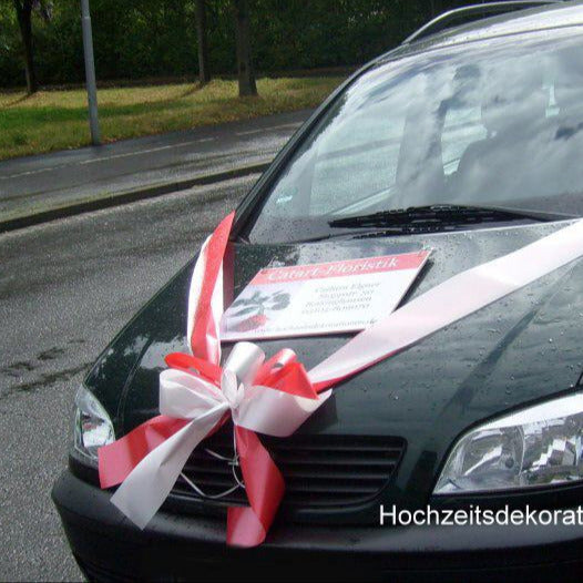 9031 Schleife mit zwei Armen