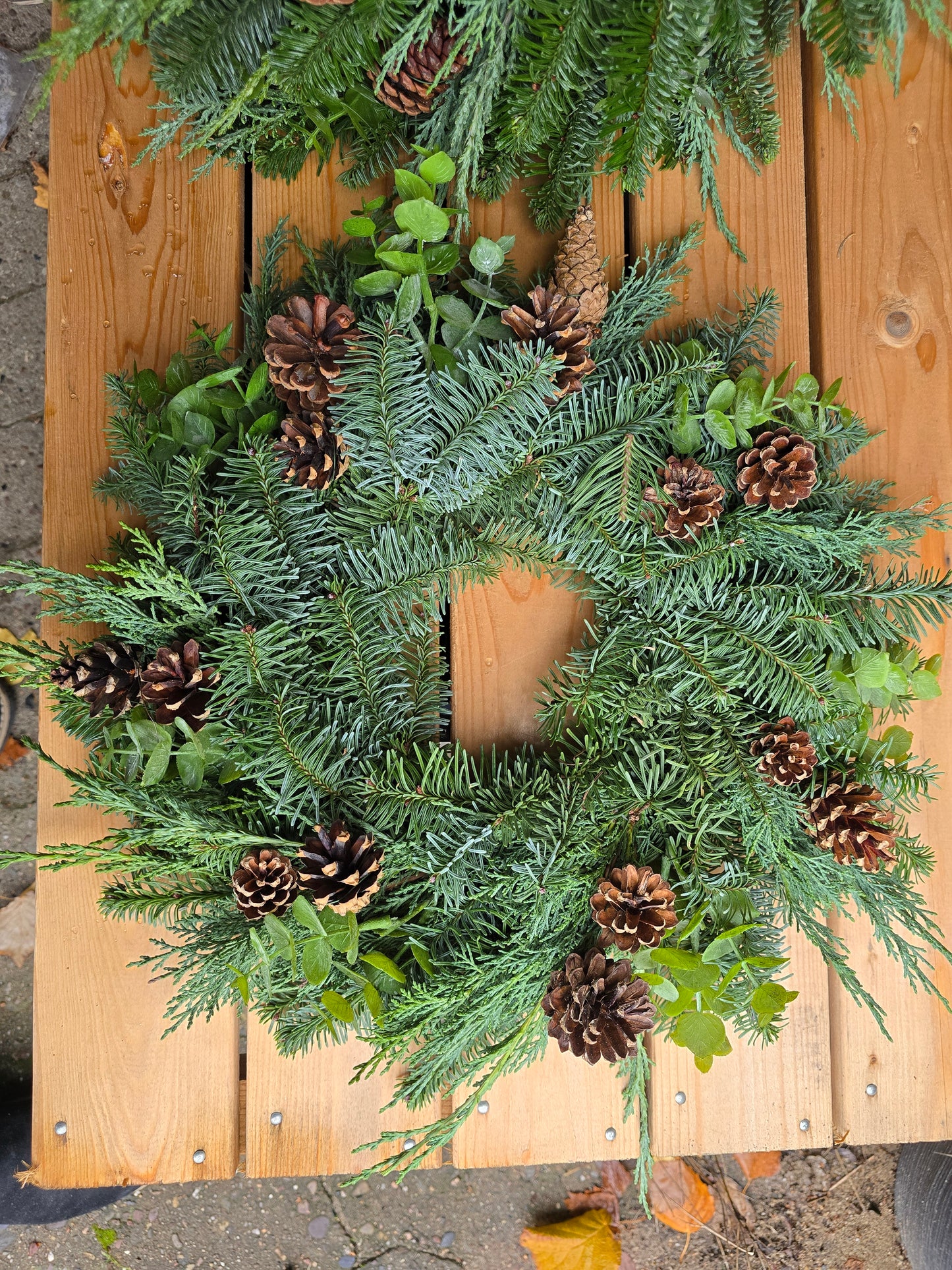 8014 Rohkranz frische Tanne Eukalyptus und Zapfen Gr s