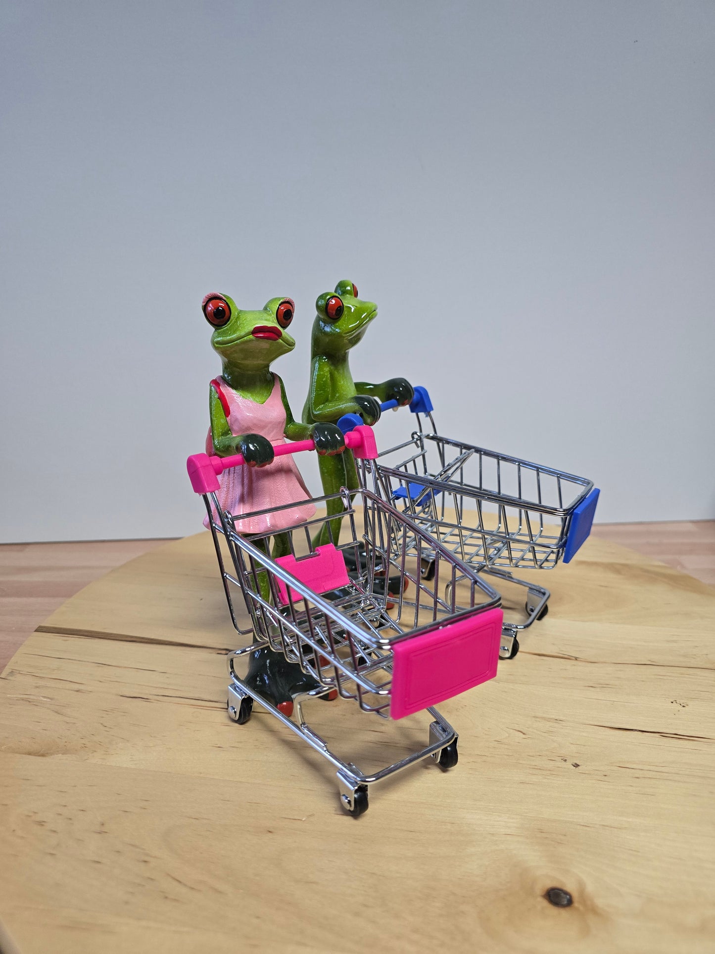 Frosch mit Einkaufswagen Shoppingqueen