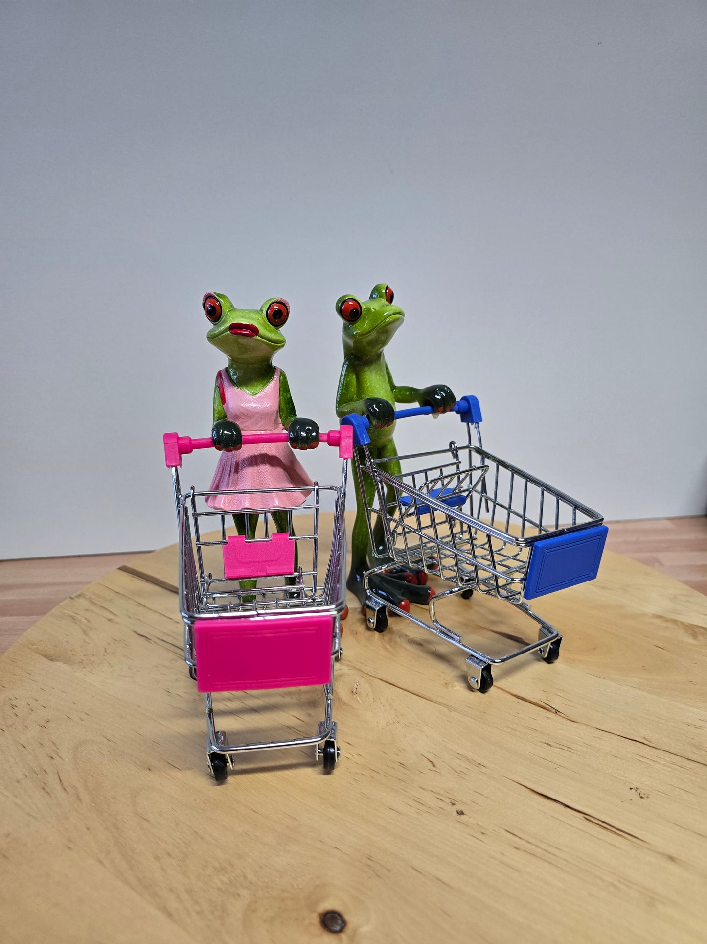 Frosch mit Einkaufswagen Shoppingqueen