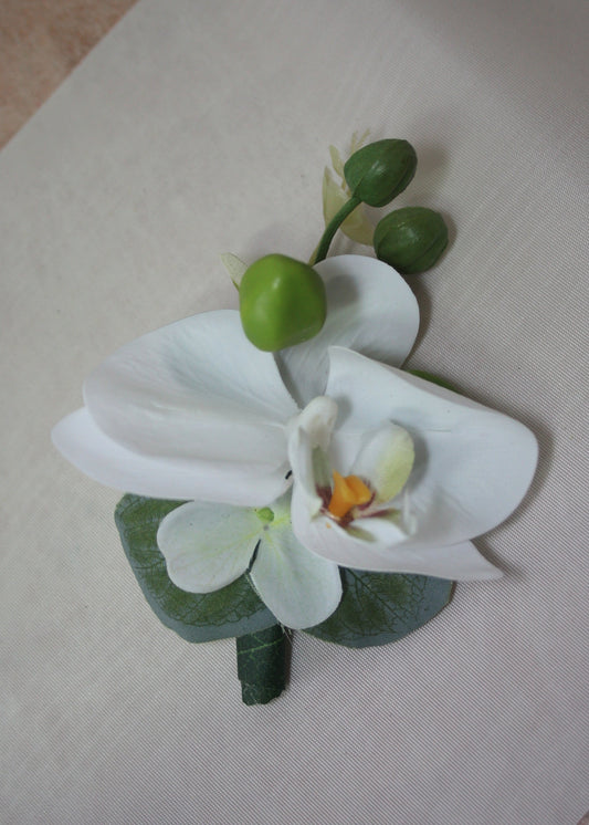 anstecker orchidee weiss