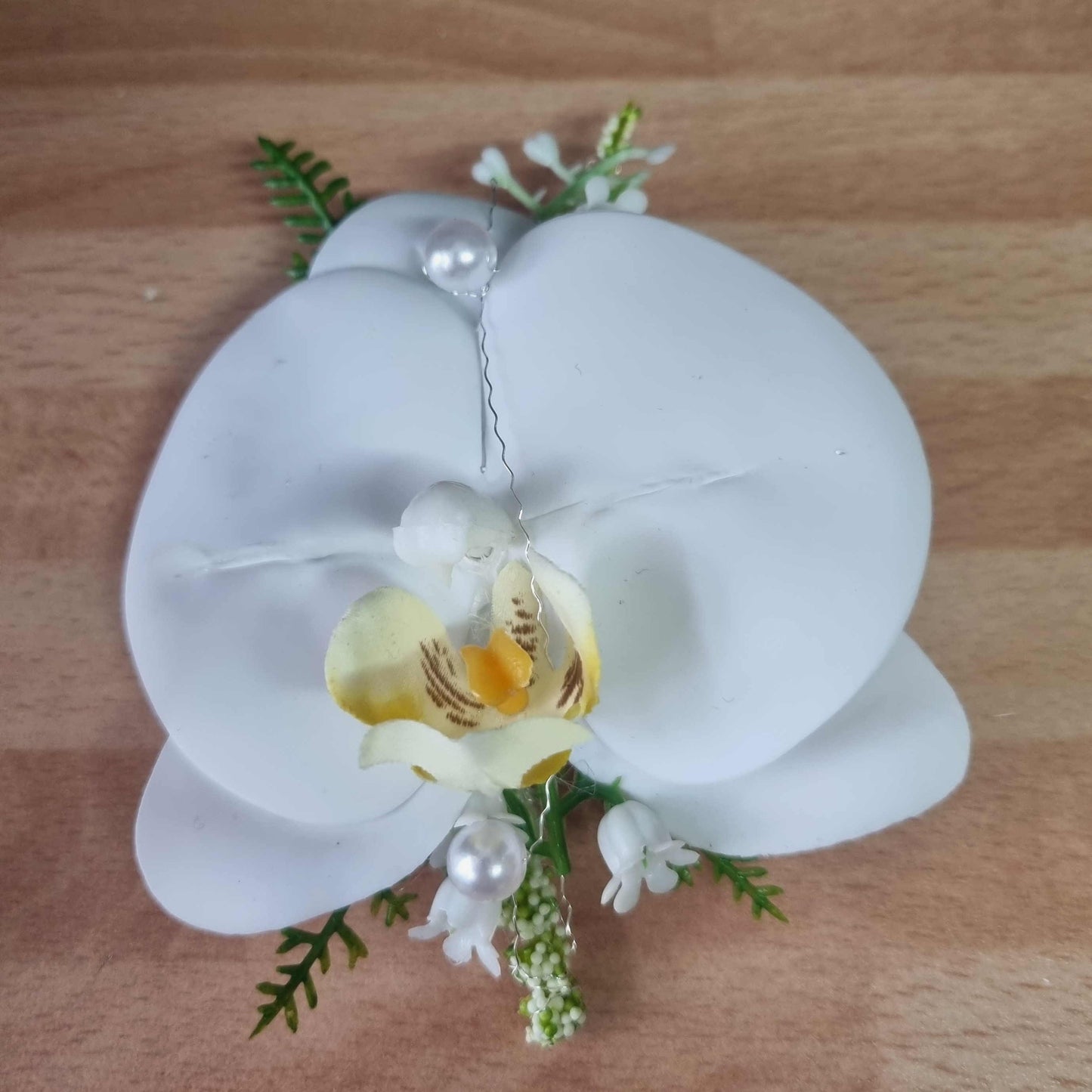 Anstecker Orchidee