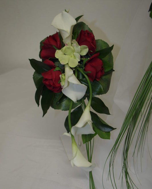 Kleiner Strauá mit Callas