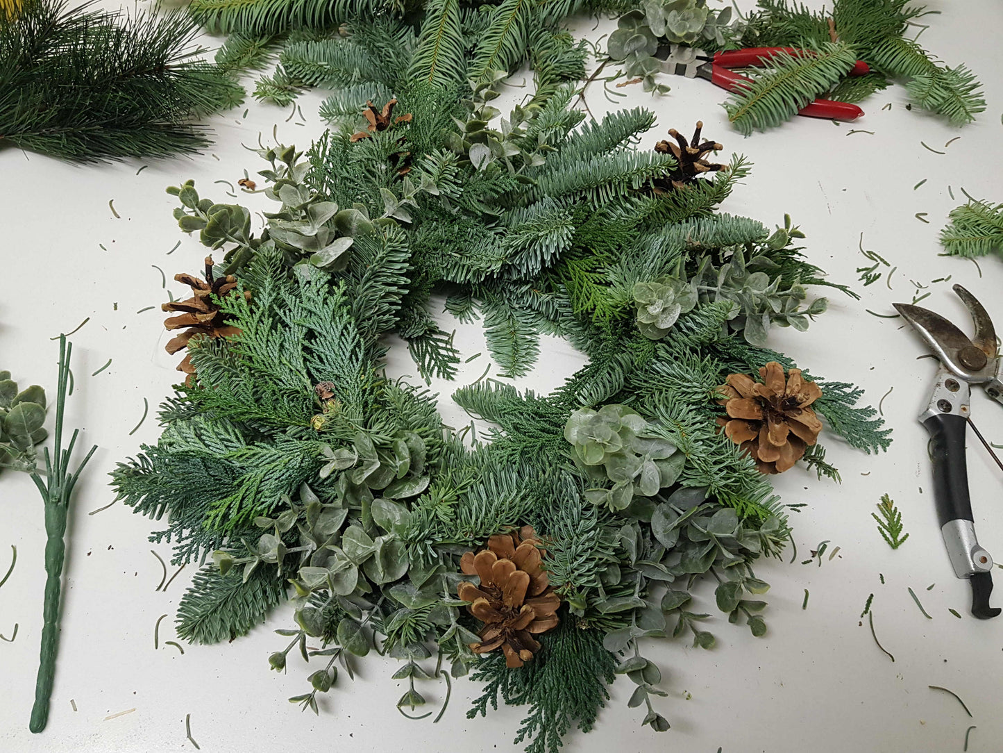 Rohkranz frische Tanne Eukalyptus und Zapfen