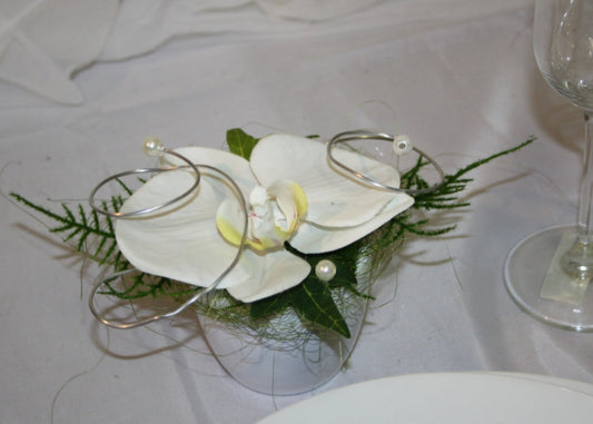 Orchidee im Topf