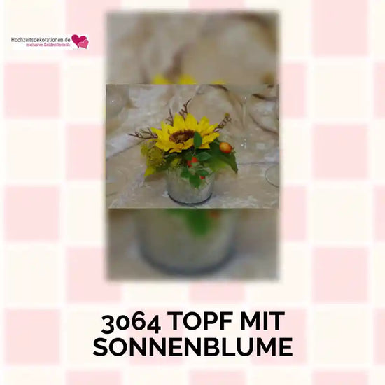 3064 Topf mit Sonnenblume by@Outfy