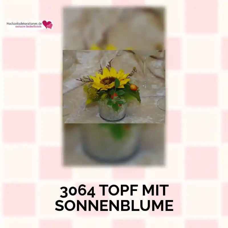 3064 Topf mit Sonnenblume by@Outfy