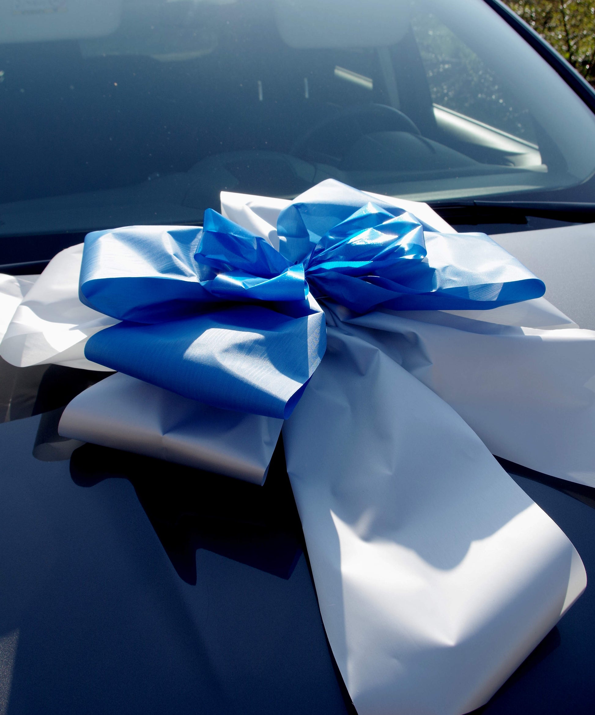 9010 Schleife XXL zweifarbig Geschenk für Auto blau-silber