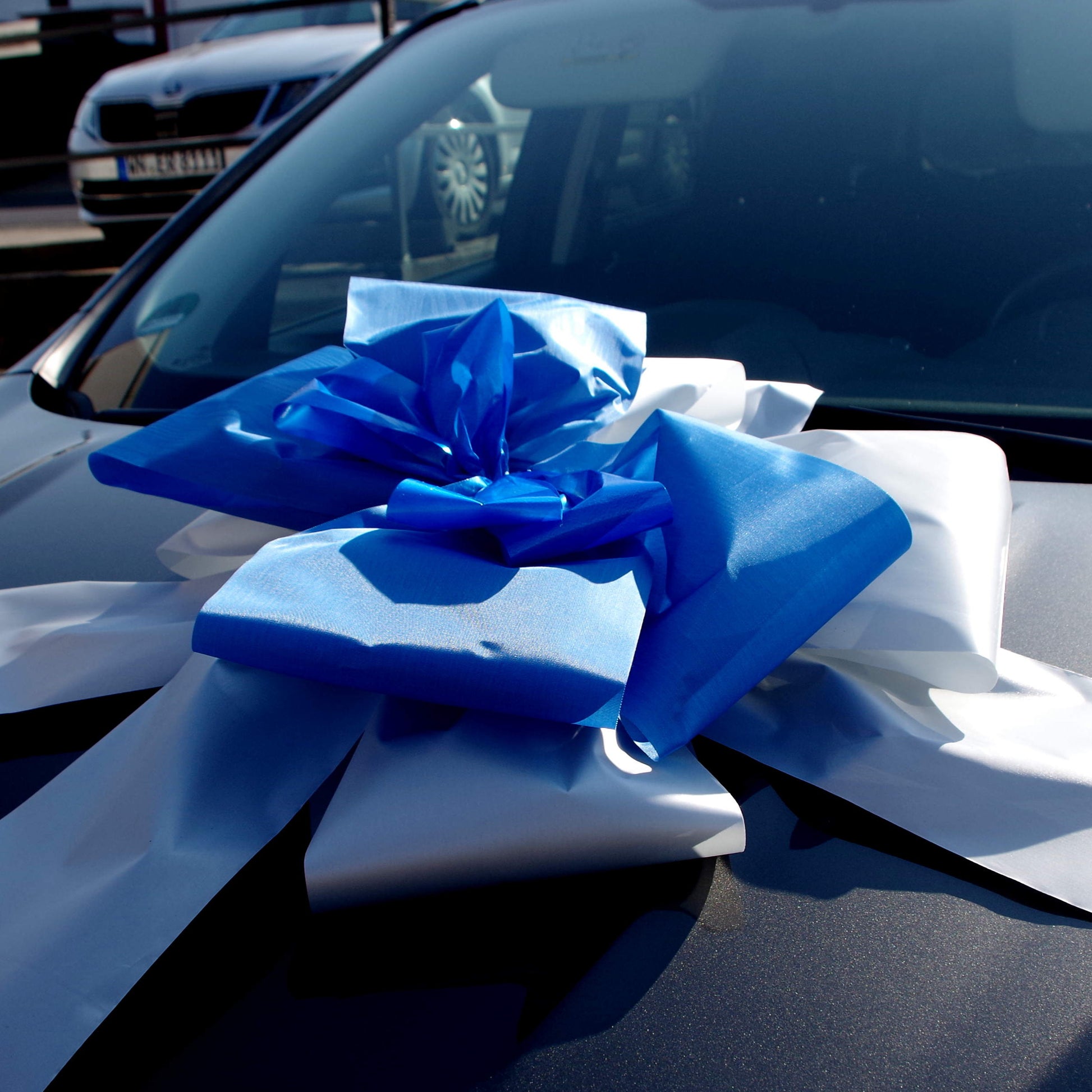9010 Schleife XXL zweifarbig Geschenk für Auto blau-silber