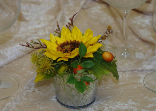 Topf mit Sonnenblume